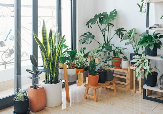 Creative Ways To Connect Your New Home With Nature